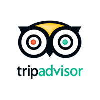 TripAdvisor Reviews